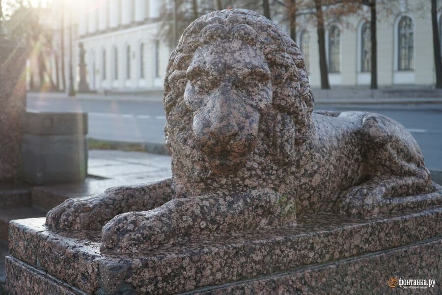 Парные гранитные львы на набережной Макарова перед Пушкинским домом