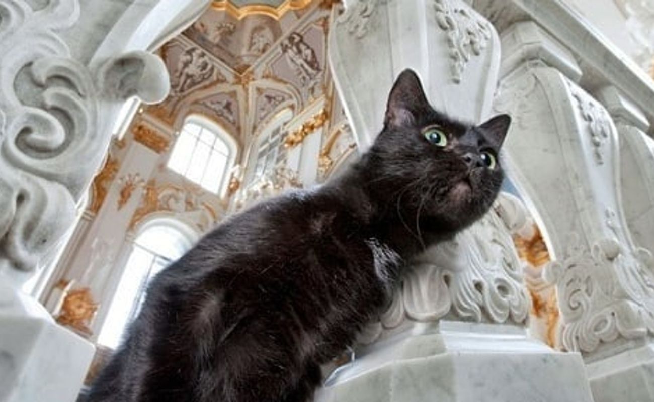 27 мая можно будет посетить знаменитые подвалы Эрмитажа, куда в обычные дни вход закрыт. Прогуливаясь по скрытым от посторонних глаз галереям, можно будет ближе познакомиться с их постоянными обитателями, почесать их за ушком, а может быть и угостить чем-нибудь вкусным по случаю праздника.