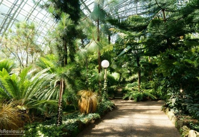 botanicheskii-sad-orangerei-4