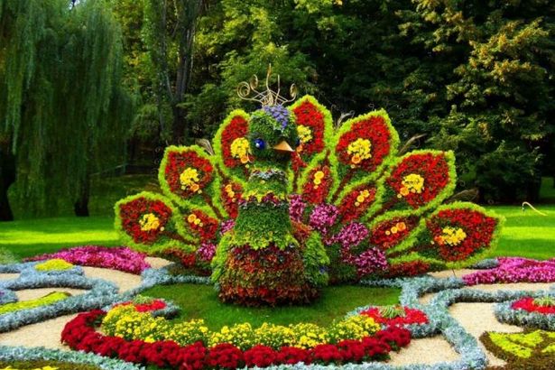 u0424u0435u0441u0442u0438u0432u0430u043bu044c u00abu0418u043cu043fu0435u0440u0430u0442u043eu0440u0441u043au0438u0435 u0441u0430u0434u044bu00bb u0420u043eu0441u0441u0438u0438-2016