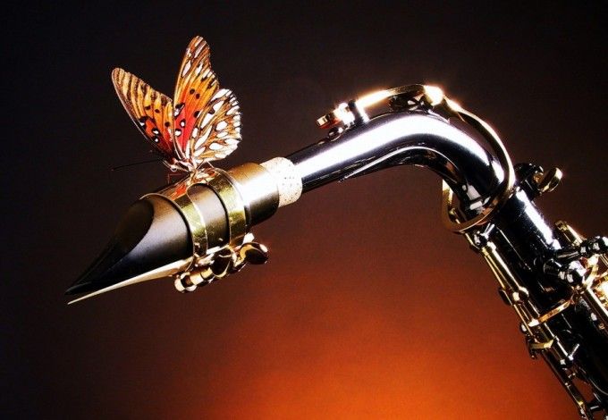 u0424u0435u0441u0442u0438u0432u0430u043bu044c u00abu0421u0432u0438u043du0433 u0411u0435u043bu043eu0439 u043du043eu0447u0438- 2016u00bb u043fu0440u043eu0439u0434u0451u0442 u0432 u043fu0435u0440u0432u044bu0435 u0434u043du0438 u0438u044eu043bu044f