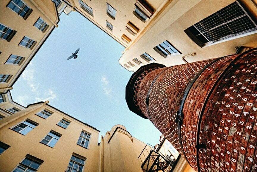 Каменная Башня Грифонов во дворе аптеки Пеля, окруженная легендами