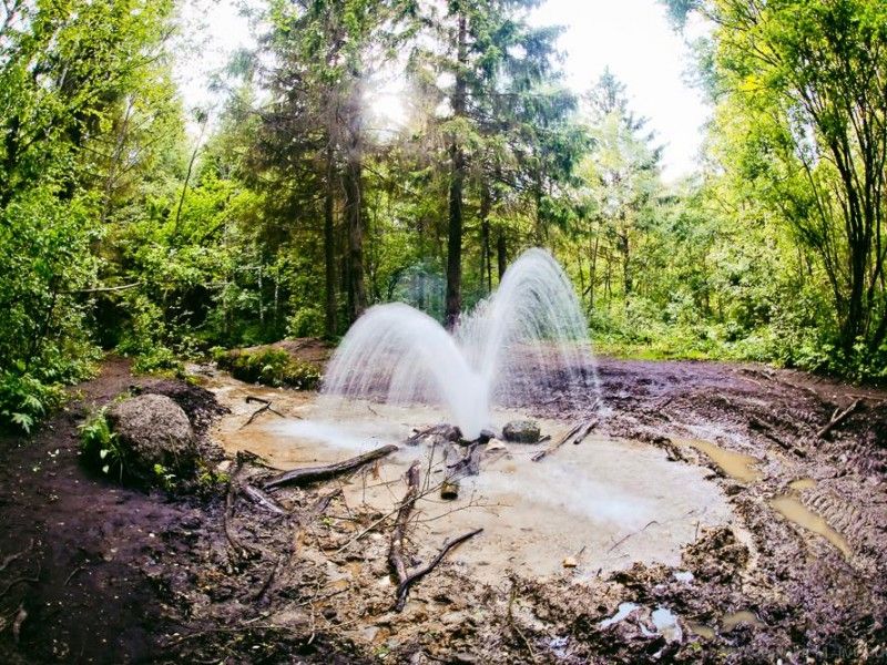 Гатчинские гейзеры