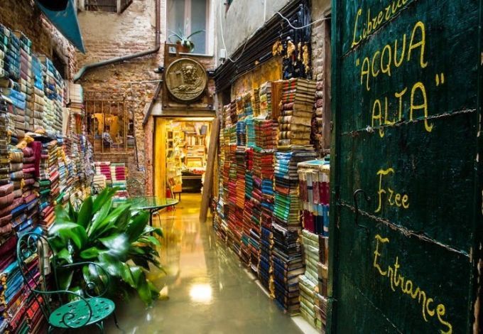 u0420u043eu0436u0434u0435u0441u0442u0432u0435u043du0441u043au0438u0435 u043au043du0438u0436u043du044bu0435 u0430u043bu043bu0435u0438 u043fu043eu044fu0432u044fu0442u0441u044f u043du0430 u041cu0430u043bu043eu0439 u041au043eu043du044eu0448u0435u043du043du043eu0439 u0443u043bu0438u0446u0435