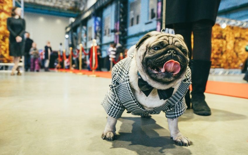 u00abu0414u0435u043du044c u0421u0432u044fu0442u043eu0433u043e u041cu043eu043fu0441u0430u043du0442u0438u043du0430u00bb