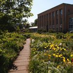 u0411u043eu0442u0430u043du0438u0447u0435u0441u043au0438u0439 u043cu0443u0437u0435u0439 u043fu0440u043eu0434u0430u0435u0442 u0431u0438u043bu0435u0442u044b u043fu043e 100 u0440u0443u0431u043bu0435u0439