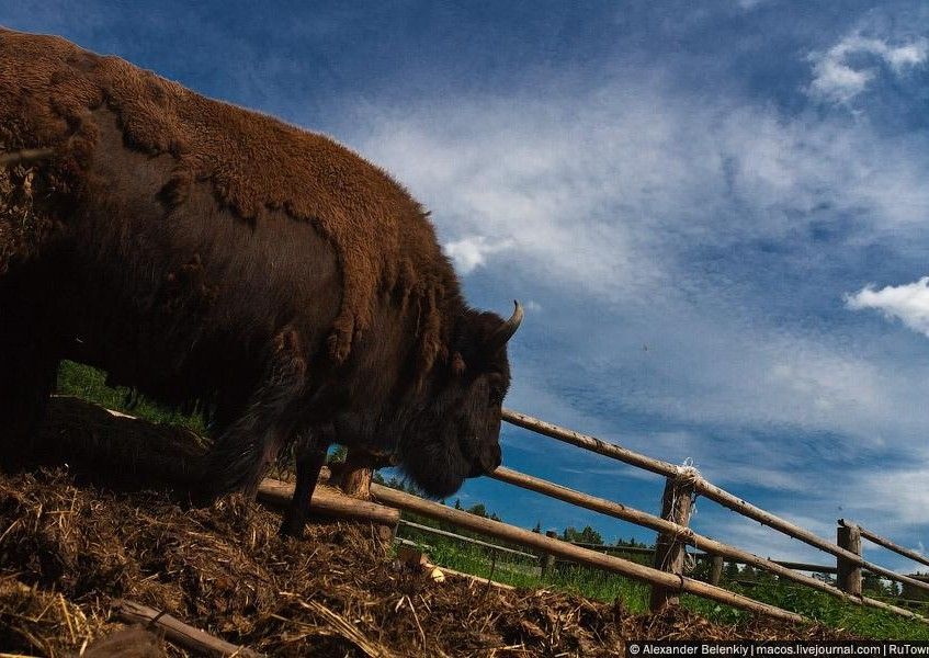 0 4eb6a 4ed62f6e xxl c03c0