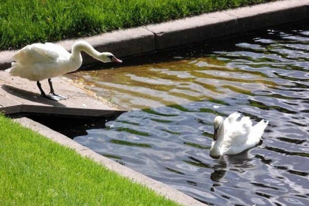 u0420u0443u0441u043bu0430u043d u0438 u041bu044eu0434u043cu0438u043bu0430 u0432u0435u0440u043du0443u043bu0438u0441u044c u0432 u041bu0435u0442u043du0438u0439 u0441u0430u0434