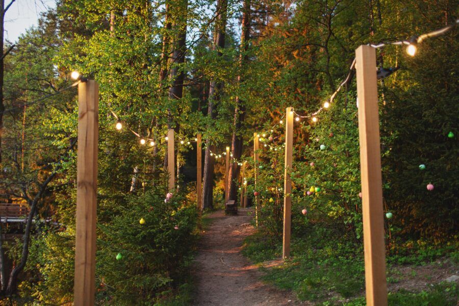 Ищете, куда сходить с друзьями в Петербурге? Лучшие идеи для встреч с друзьями: от активного отдыха до уютных мест в Санкт-Петербурге.