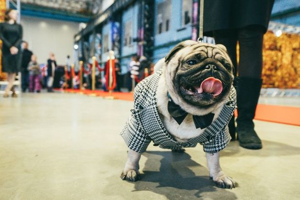 u00abu0414u0435u043du044c u0421u0432u044fu0442u043eu0433u043e u041cu043eu043fu0441u0430u043du0442u0438u043du0430u00bb