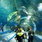 15 впечатляющих развлечений Петербурга