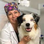 Ищете ветклинику, которая реально работает ночью? Проверили 20+ заявлений о «24/7» и нашли 15 мест, где хирург на месте, а не «по вызову». С ценами, графиком разводки мостов и честными ограничениями каждой клиники.