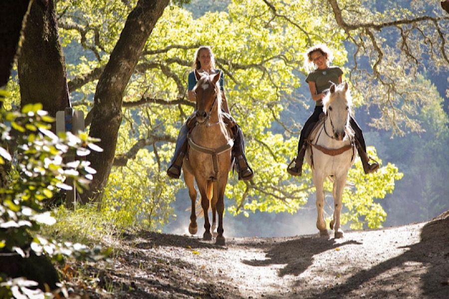 День Рождения в темноте