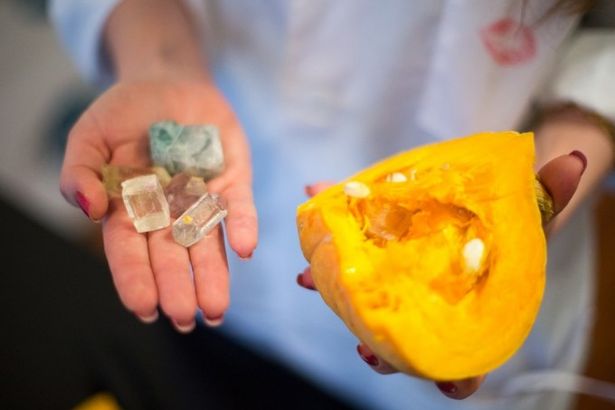 u0412u043fu0435u0440u0432u044bu0435 u0432 u0438u0441u0442u043eu0440u0438u0438 u043fu0435u0442u0435u0440u0431u0443u0440u0433u0441u043au0438u0435 u0443u0447u0435u043du044bu0435 u0432u044bu0440u0430u0441u0442u0438u043bu0438 u0432 u0442u044bu043au0432u0435 u0434u0440u0430u0433u043eu0446u0435u043du043du044bu0435 u043cu0438u043du0435u0440u0430u043bu044b