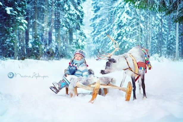 u0417u0438u043cu043du0438u0439 u043fu0430u0440u043a u00abu041bu0430u043fu043bu0430u043du0434u0438u044fu00bb