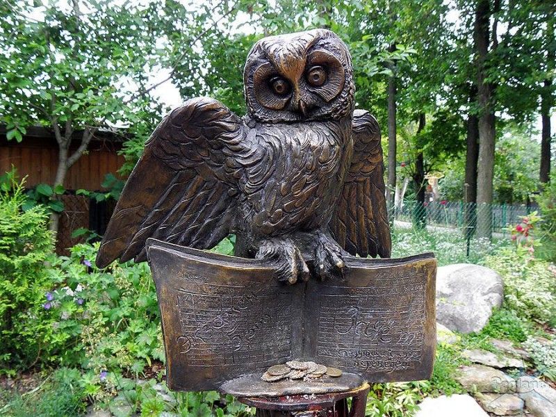 Сова-студентка