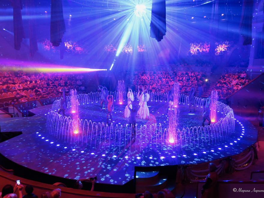 Куда сходить с ребенком в Петербурге — цирки