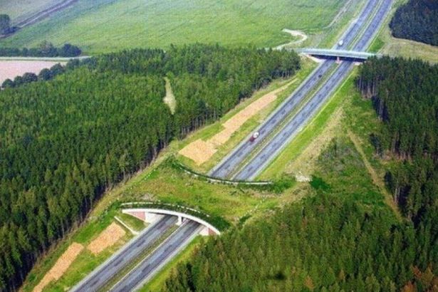 u0412 u041bu0435u043du043eu0431u043bu0430u0441u0442u0438 u043fu043eu0441u0442u0440u043eu044fu0442 u00abu0437u0432u0435u0440u043eu0445u043eu0434u044bu00bb