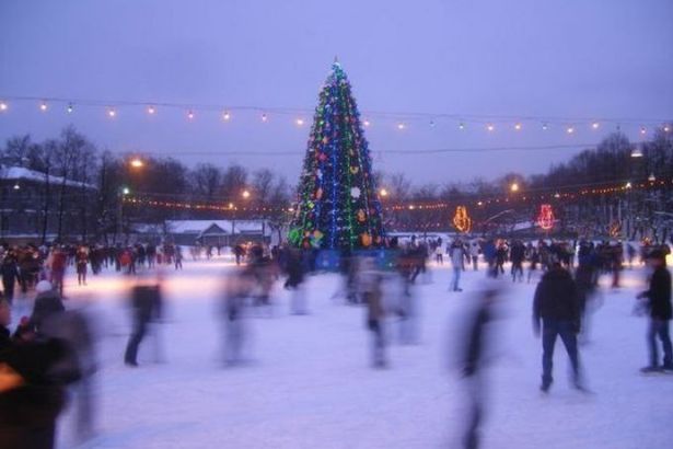 u041du0430 u0415u043bu0430u0433u0438u043du043eu043c u043eu0441u0442u0440u043eu0432u0435 u043eu0442u043au0440u044bu043bu0441u044f u0431u043eu043bu044cu0448u043eu0439 u0431u0435u0441u043fu043bu0430u0442u043du044bu0439 u043au0430u0442u043eu043a