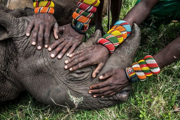 «World Press Photo» — самая знаменитая фотовыставка в мире, которая откроется 24 сентября в «Этажах». Истинные ценители смогут посмотреть на уникальные кадры в первый день работы экспозиции раньше других, при этом абсолютно бесплатно!