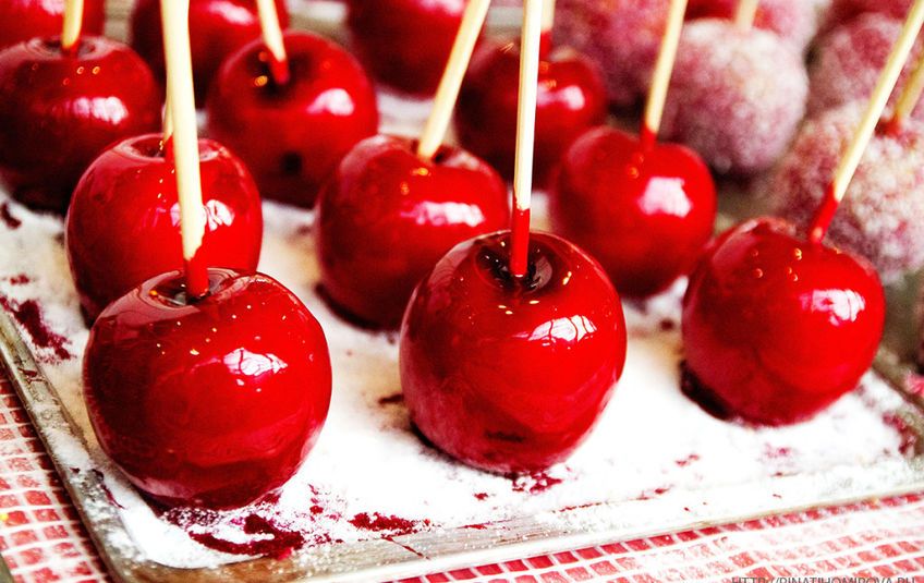 img 97931 1024x682 5c9e0