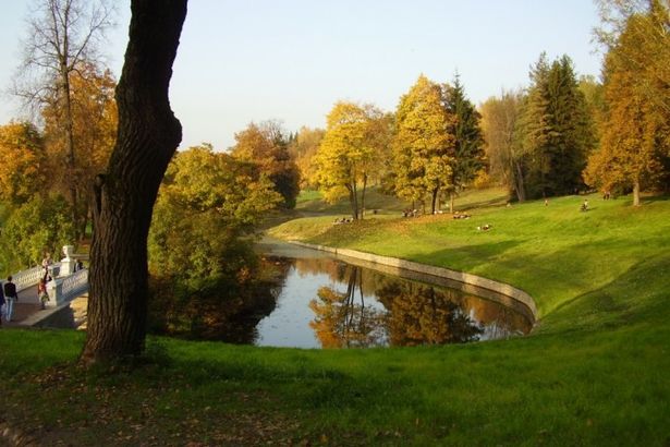 Праздник кино пройдёт в осеннем парке. Павильоны превратятся в ретрокинозалы, а по аллеям, которые усыпаны золотыми листьями и искусственным снегом, проведут экскурсии по местам, где снимались фильмы «Евгений Онегин», «Идиот», «Мастер и Маргарита» и «Матильда».