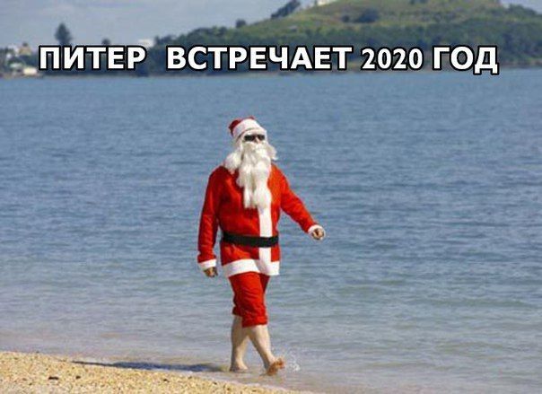 Аномально теплая зима в Петербурге разбудила природу: на улицах города распускаются цветы, в лесу начали расти лисички, а дороги вместо реагентов впервые за 20 лет моют водой.