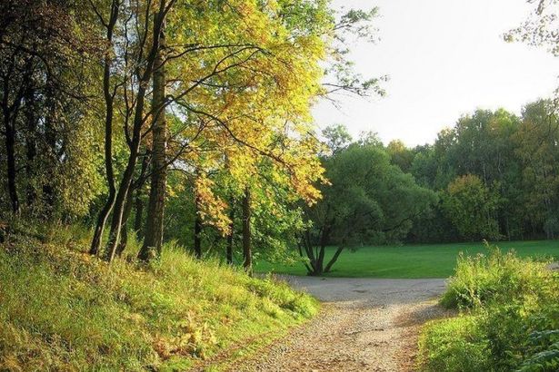 u0412 u0433u043eu0440u043eu0434u0435 u043fu043eu044fu0432u044fu0442u0441u044f u0434u0432u0430 u043du043eu0432u044bu0445 u043fu0430u0440u043au0430