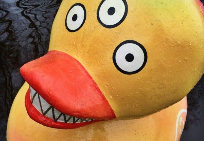 u041eu0433u0440u043eu043cu043du0430u044f u0443u0442u043au0430 u0441 u0442u0440u0435u043cu044f u0433u043bu0430u0437u0430u043cu0438 u043fu043eu044fu0432u0438u043bu0430u0441u044c u0432 u043eu0434u043du043eu043c u0438u0437 u0432u043eu0434u043eu0435u043cu043eu0432 u041fu0435u0442u0435u0440u0431u0443u0440u0433u0430