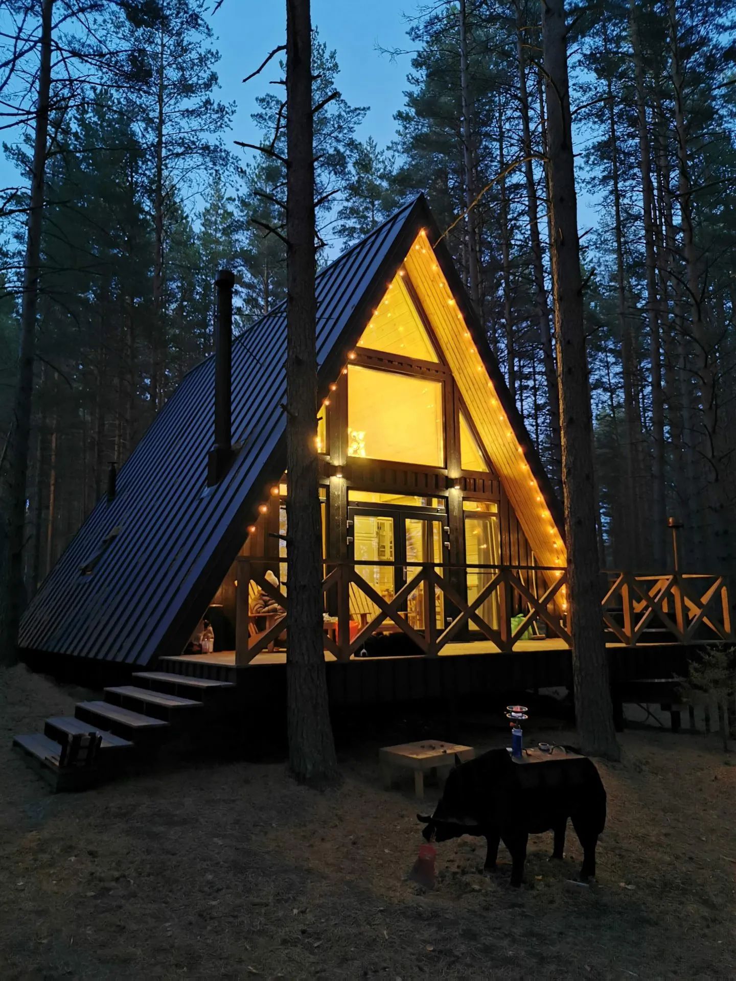 Глэмпинг The Lagom в Лосево — подсвеченный дизайнерский А-фрейм в сосновом лесу у Вуоксы