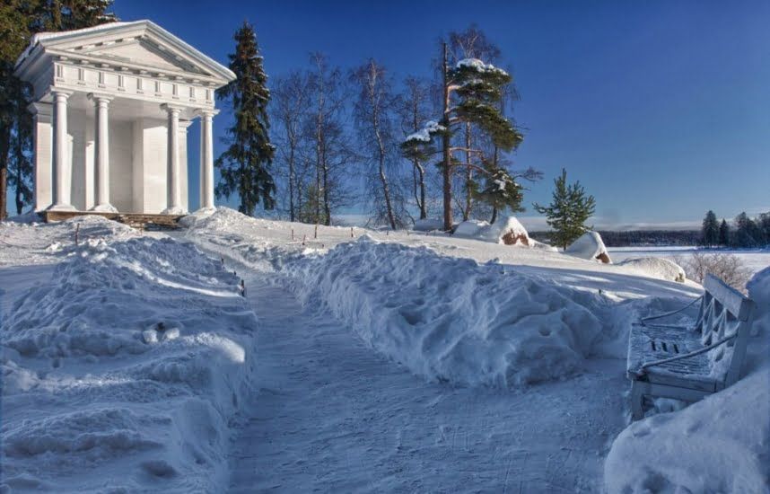 Заповедник «Монрепо» зимой