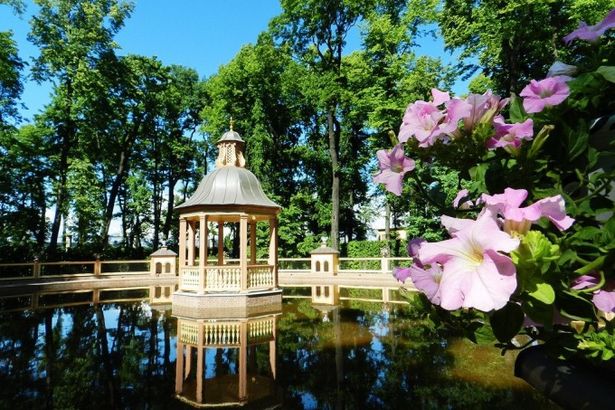 u041du0435u043eu0431u044bu0447u043du0443u044e u0432u044bu0441u0442u0430u0432u043au0443 u0437u0430u043fu0430u0445u043eu0432 u043eu0442u043au0440u043eu044eu0442 u0432 u041fu0435u0442u0435u0440u0431u0443u0440u0433u0435