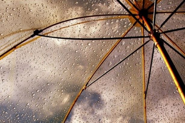 Практически всю начавшуюся неделю- с 15 по 21 августа - в Петербурге будут идти дожди и дуть сильный ветер.