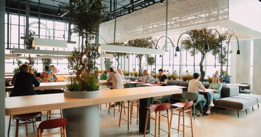 CITY FOOD — рай для гурманов! Здесь вы найдете более 30 ресторанов и кафе с блюдами из 11 кухонь мира. Хотите пиццу, суши, тако или израильский фалафель? Всё это и даже больше ждёт вас в одном месте.