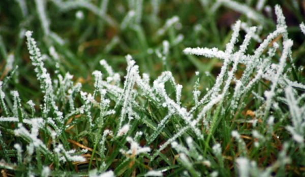 u041fu0435u0442u0435u0440u0431u0443u0440u0436u0446u0430u043c u043eu0431u0435u0449u0430u044eu0442 u0437u0430u043cu043eu0440u043eu0437u043au0438 u0432 u0441u0435u0440u0435u0434u0438u043du0435 u0441u0435u043du0442u044fu0431u0440u044f