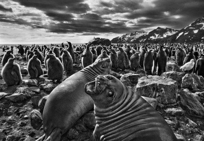 15august-salgado2 2fb3a