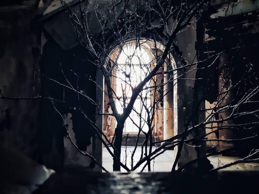 u0410u043du043du0435u043du043au0438u0440u0445u0435 u0441u043fu0435u043au0442u0430u043au043bu044c u00abu0412u0438u0448u043du0435u0432u044bu0439 u0441u0430u0434u00bb