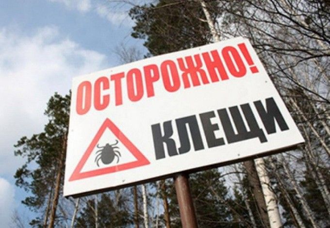 u041fu0435u0442u0435u0440u0431u0443u0440u0433 u0438 u043eu0431u043bu0430u0441u0442u044c u0432u043du043eu0432u044c u0430u0442u0430u043au0443u044eu0442 u043au043bu0435u0449u0438