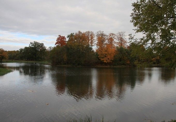 u041fu0435u0442u0435u0440u0433u043eu0444u0441u043au0438u0439 u0411u043eu043bu044cu0448u043eu0439 u041au0440u0443u0433u043bu044bu0439 u043fu0440u0443u0434 u0433u043eu0442u043eu0432 u043a u043eu0442u043au0440u044bu0442u0438u044e u0444u043eu043du0442u0430u043du043eu0432