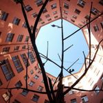 u0418u043du0442u0435u0440u0435u0441u043du044bu0439 u043cu0430u0440u0448u0440u0443u0442 u0432u043eu043au0440u0443u0433 u0441u0442u0430u043du0446u0438u0438 u043cu0435u0442u0440u043e u00abu0427u043au0430u043bu043eu0432u0441u043au0430u044fu00bb