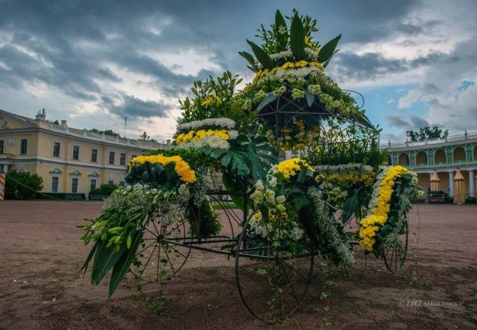 u0412 u041fu0430u0432u043bu043eu0432u0441u043au043eu043c u043fu0430u0440u043au0435 u0430u043bu043bu0435u0438 u0443u043au0440u0430u0448u0430u044eu0442 u0444u043bu043eu0440u0438u0441u0442u0438u0447u0435u0441u043au0438u0435 u043au043eu043cu043fu043eu0437u0438u0446u0438u0438