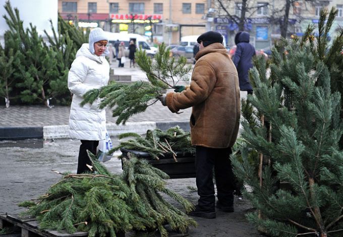 u041fu0440u043eu0434u0430u0436u0430 u0435u043bu043eu043a u043eu0442u043au0440u043eu0435u0442u0441u044f u0432 u041fu0435u0442u0435u0440u0431u0443u0440u0433u0435 20 u0434u0435u043au0430u0431u0440u044f