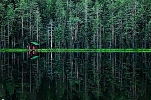 u041fu0440u0438u0440u043eu0434u043du044bu0435 u0434u043eu0441u0442u043eu043fu0440u0438u043cu0435u0447u0430u0442u0435u043bu044cu043du043eu0441u0442u0438 u041bu0435u043du0438u043du0433u0440u0430u0434u0441u043au043eu0439 u043eu0431u043bu0430u0441u0442u0438