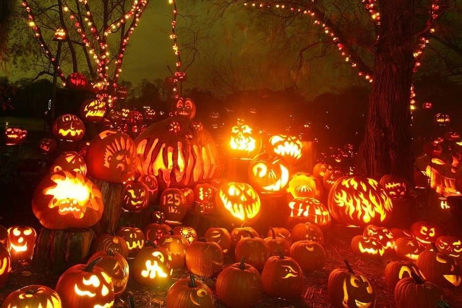 citrouille lanterne sabbat nuit halloween 5543c