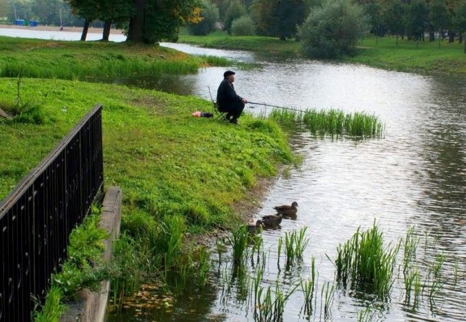 u0412 u041fu0443u0448u043au0438u043du0435 u0441u043eu0441u0442u043eu0438u0442u0441u044f u0431u043bu0430u0433u043eu0442u0432u043eu0440u0438u0442u0435u043bu044cu043du0430u044f u0440u044bu0431u0430u043bu043au0430