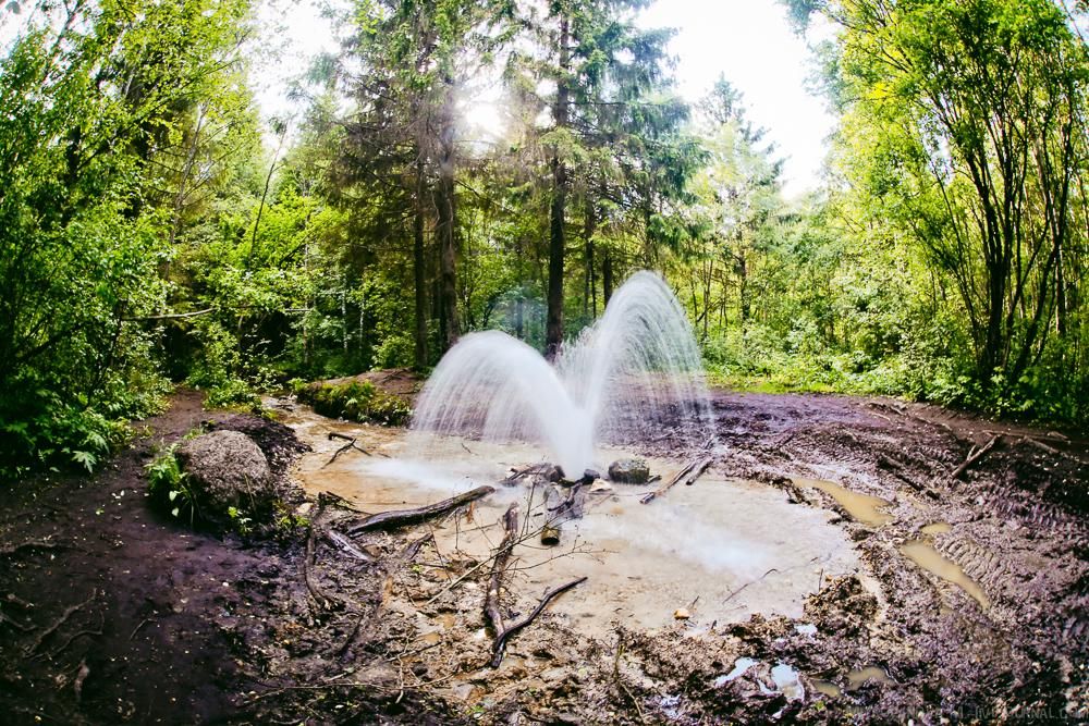 u0413u0430u0442u0447u0438u043du0441u043au0438u0435 u0433u0435u0439u0437u0435u0440u044b u2014 u0438u043du0442u0435u0440u0435u0441u043du043eu0435 u043cu0435u0441u0442u043e u043fu043eu0434 u041fu0435u0442u0435u0440u0431u0443u0440u0433u043eu043c