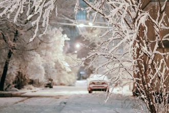 В Северной столице, в ночь с 31 на 1 января синоптики обещают снегопад, а также магнитную бурю, при этом будет плюсовая температура от 0 до +2 градусов.