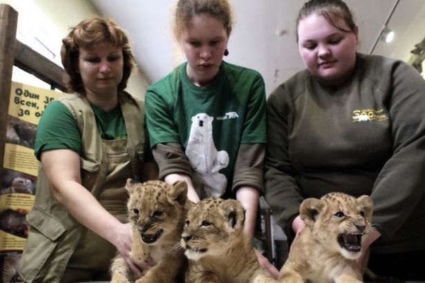 u0416u0443u0440u043du0430u043bu0438u0441u0442u043eu0432 u043fu043eu0437u043du0430u043au043eu043cu0438u043bu0438 u0441u043e u043bu044cu0432u044fu0442u0430u043cu0438