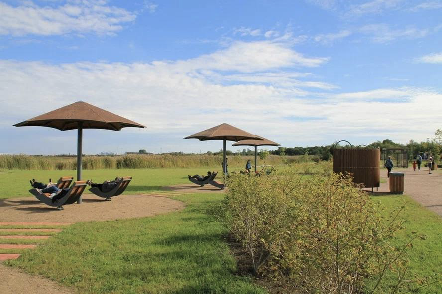 Общественное пространство «Стрельнинская бухта»