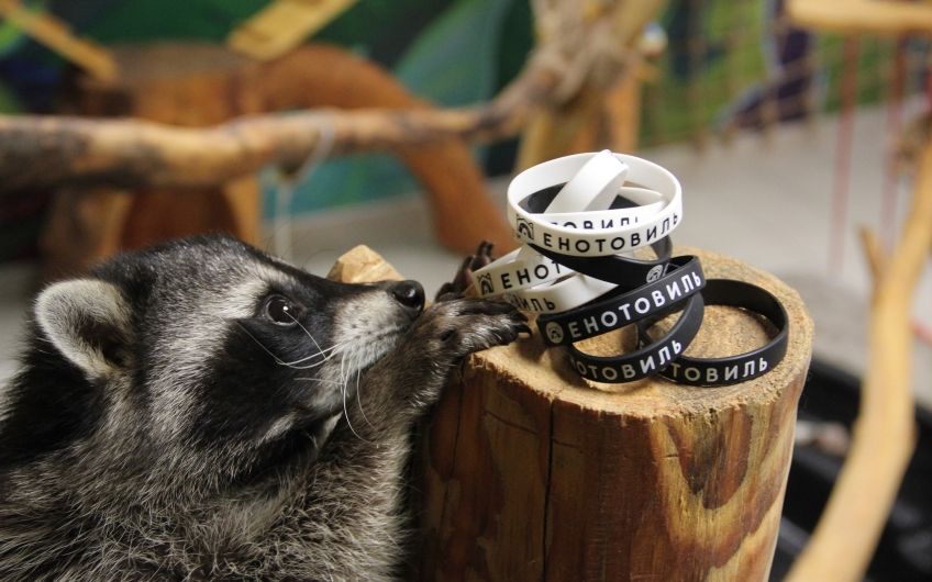 u0432u044bu0441u0442u0430u0432u043au0430 u0434u043bu044f u0435u043du043eu0442u043eu0432 u0432 u00abu0415u043du043eu0442u043eu0432u0438u043bu0435u00bb